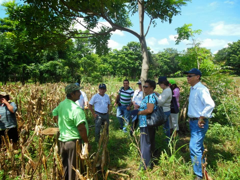 Imagen de campo rural
