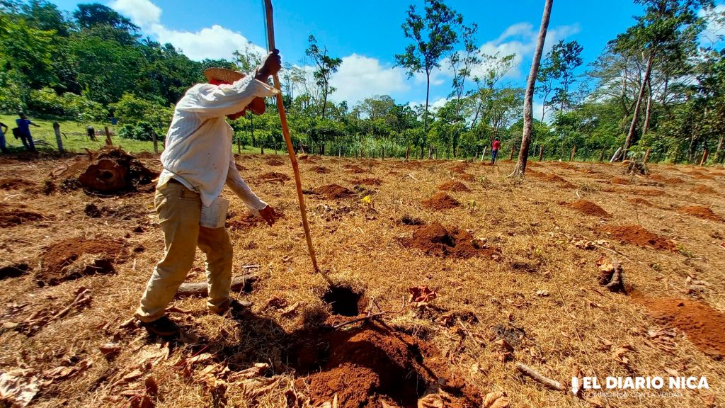 Préstamos Agrícolas